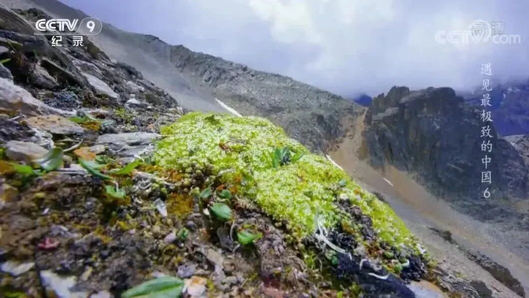 来源：CCTV节目官网⭐纪录片《遇见最极致的中国》6 山河并流-1