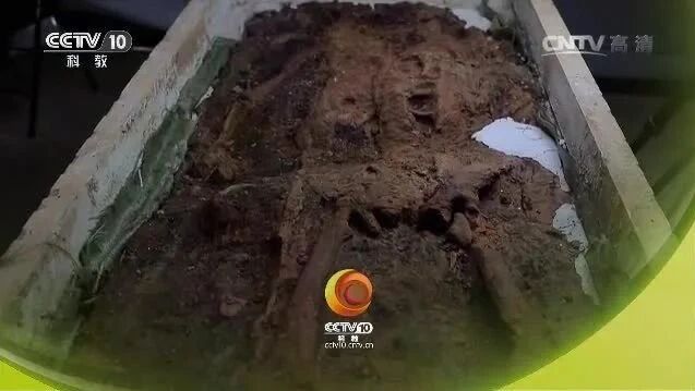 来源：CCTV节目官网⭐《考古进行时》2017第二季 9 襄汾晋墓遗骨之谜-1