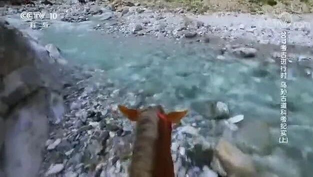 来源：CCTV节目官网⭐《考古进行时》2017第三季 5 乌孙古道科考纪实 上-1