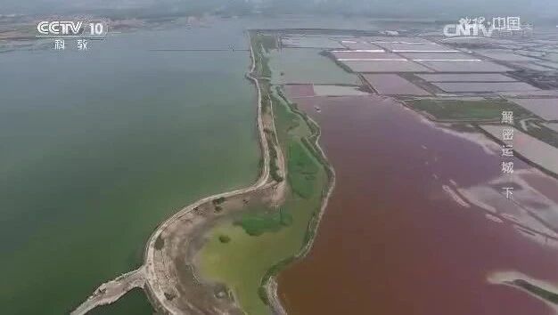 来源：CCTV节目官网⭐地理中国《古城里的奥秘》2 解密运城（下）-1