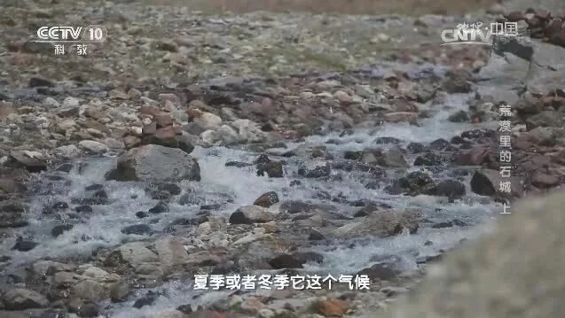 来源：CCTV节目官网⭐地理中国《古城里的奥秘》5 荒漠里的石城（上）-1