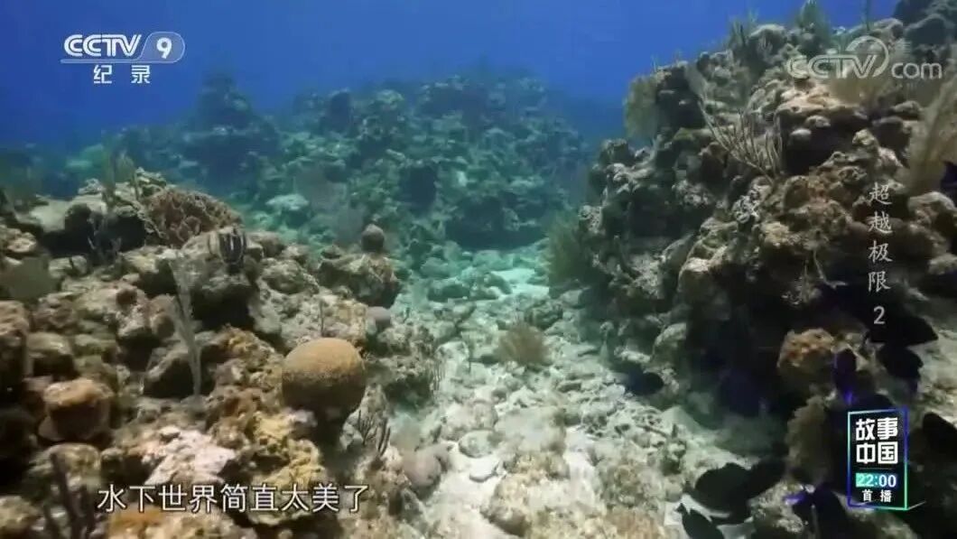 来源：CCTV节目官网⭐纪录片《超越极限》第2集 窒息深蓝-1