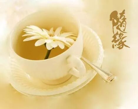 �����������εĲƸ�