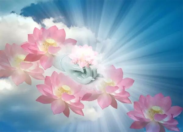 �����������εĲƸ�