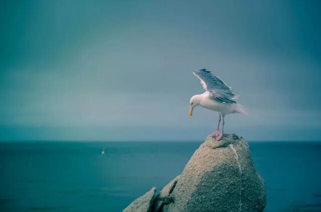 博士申请套磁信，有哪些大忌，你已经犯了。