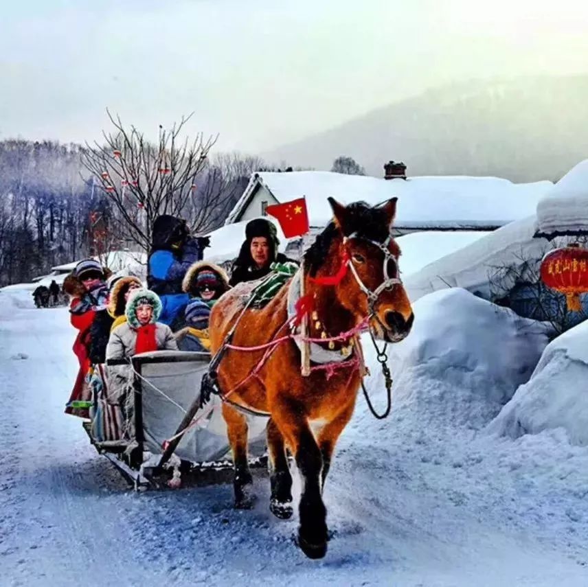 【雪村视频】这里有一份来自威虎山雪村的邀请函!