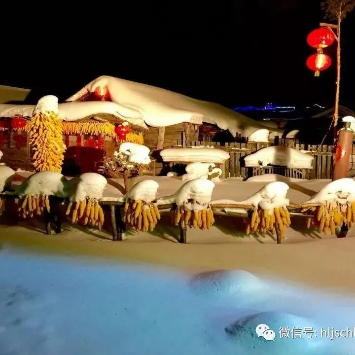 【雪村视频】好玩好看又有趣的雪村视频,快来围观~