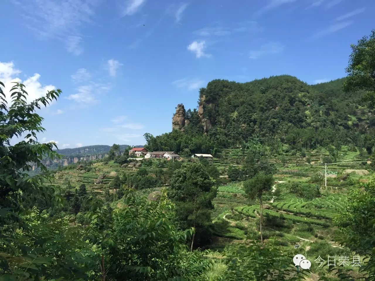 人间四月天,乡约醉美荣州田园 送上荣县景点vr全景