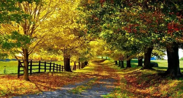 【田英章西安书院】秋季学期班开始预约报名