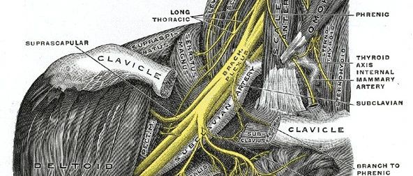 cover_image