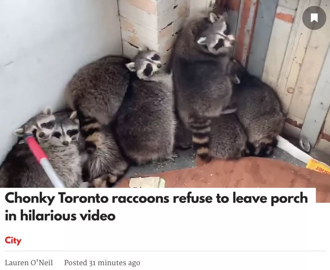 Canada Real Estate, MLS Listings for Sale,Rent & Sold Price | Realmaster.com