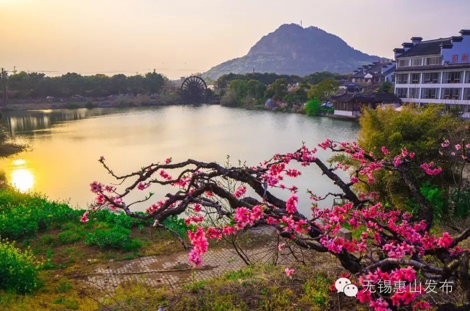 △阳山桃花源