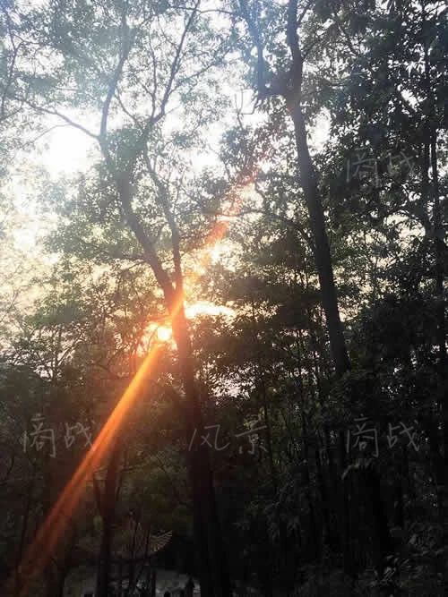 毛阿敏这首歌,太好听了,一定要送给身边的好朋友!