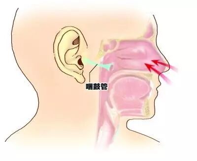 “耳朵”出问题 警惕“鼻子”惹的祸