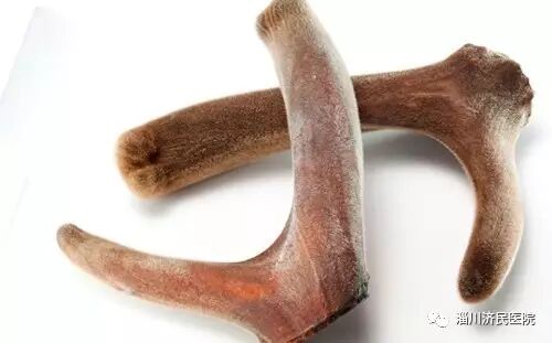 常用补肾泡酒药材功效作用大全