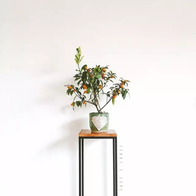 木地板一般多少錢(qián)一個(gè)平方|【我愛(ài)我家】一篇幫你省錢(qián)省事的裝修日記（上）