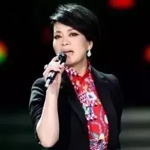 毛阿敏一首《渴望》,全场热泪盈眶!
