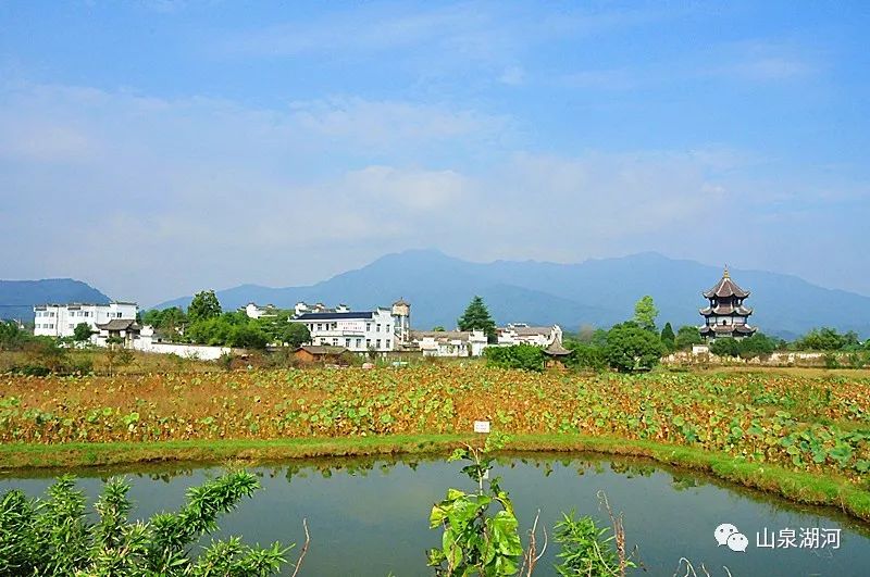 青弋江上桃花潭