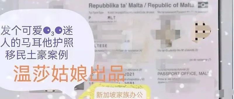 马耳他护照移民申请虐哭2022