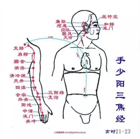 從零學經絡 | 心臟病急性發作時，可以按揉這條經的穴道 健康 第5張