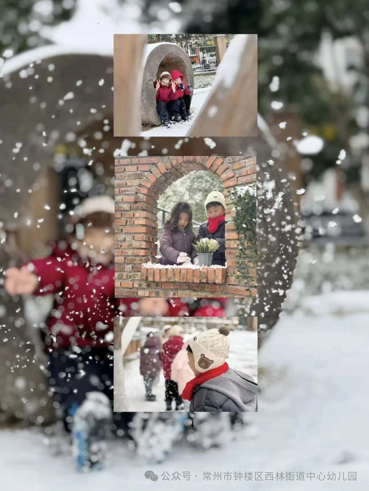 嬉林里的撒欢时光??｜快乐值100%??-幼师课件网第6张图片