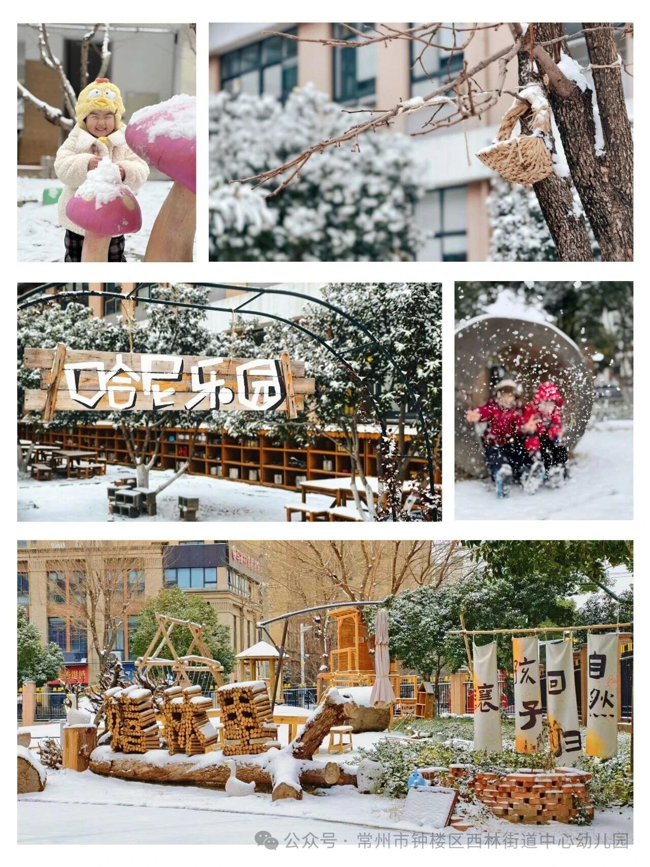 嬉林里的撒欢时光??｜快乐值100%??-幼师课件网第2张图片