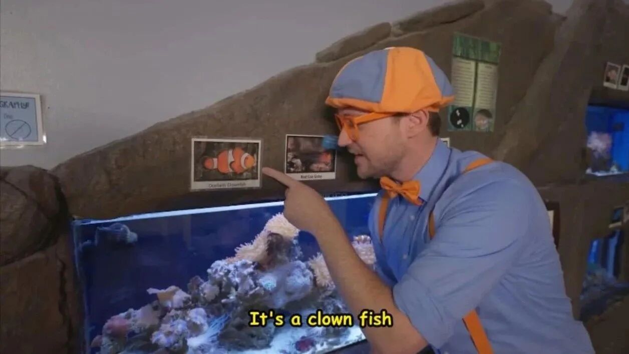 Blippi Meets a Puffer Fish