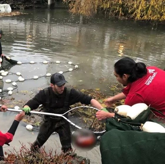 震惊 | “麦当娜”惨死温哥华,享年54!凶手在逃,官员接受采访时居然还笑?!