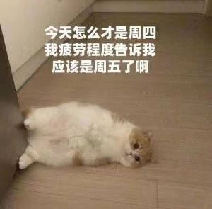  商品管理收付通Test