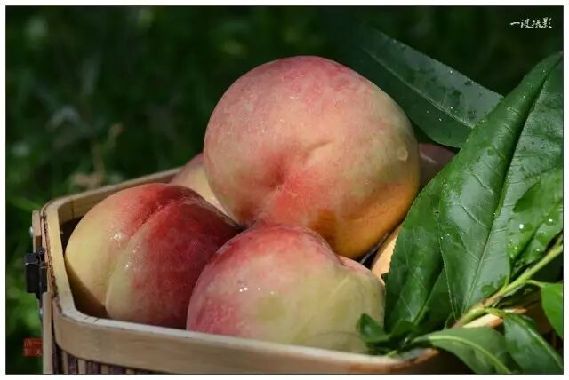 减肥，还在喝果汁？喝对了才有助减肥哦！（一）