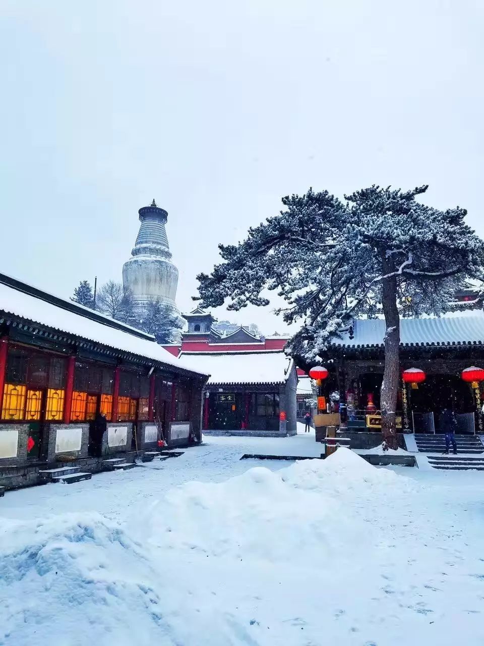 下雪天一起去五台山朝圣吧