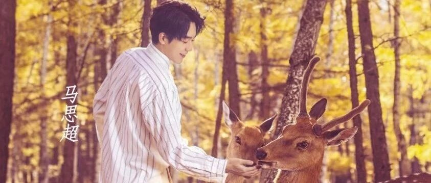 人物|马思超:对世界好奇,为这份好奇努力