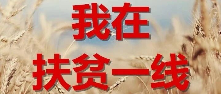 【我在扶贫一线】王海珍:扎根基层勤学习  争做百姓贴心人