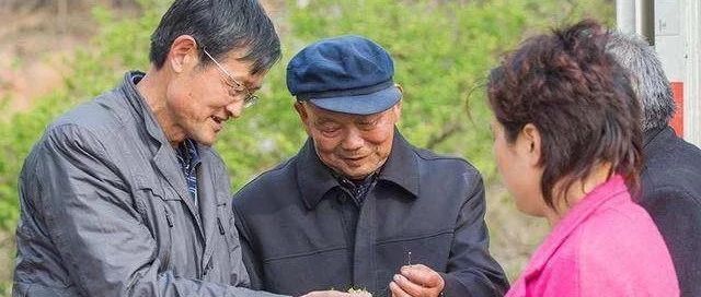 箭厂河乡:两位老人与“甜花菜”的故事