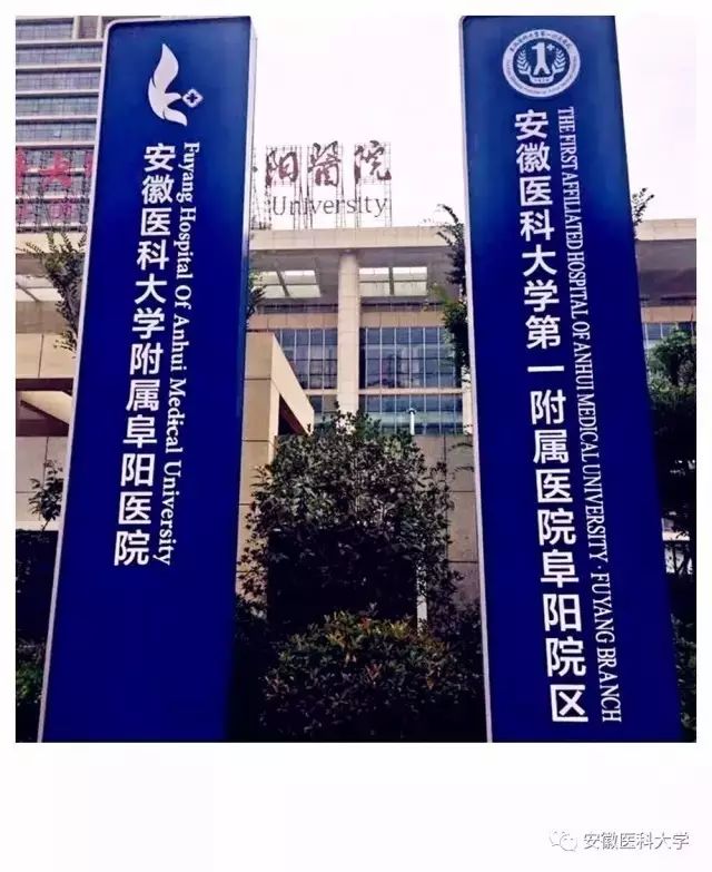 招聘!招聘!安徽医科大学附属阜阳医院期待你的加入