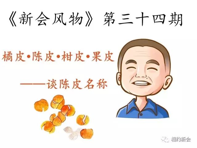 【新会风物】你分得清什么是陈皮,柑皮,果皮吗?