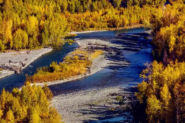 我站在秋的路口