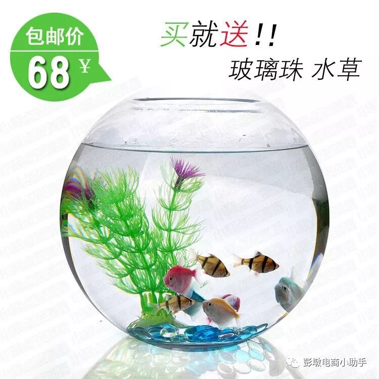 11条鱼的故事，【治】与【调】的区别？