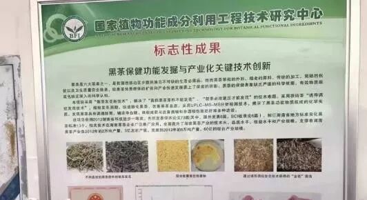 回顾2017年湖南黑茶七大新闻热点：