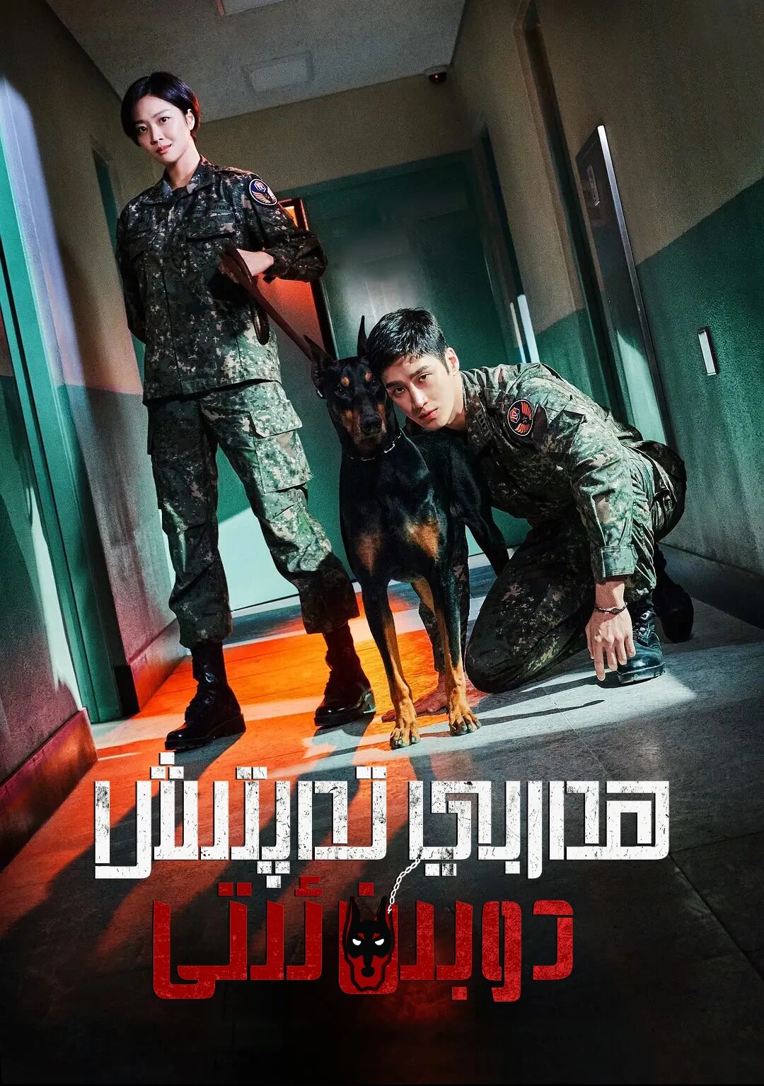 ھەربى تەپتىش دوبىڭۋان