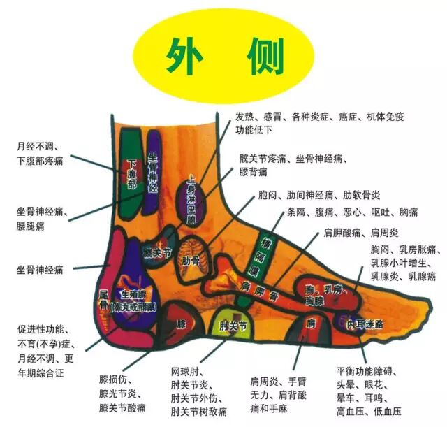 人体足部反射区高清图解-足底脏器反射区