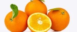 橘叶疏肝气、橘皮健脾胃...一个橘子相当于5味药，但也别乱吃