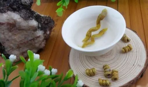 石斛问答 铁皮枫斗泡水喝放几粒?