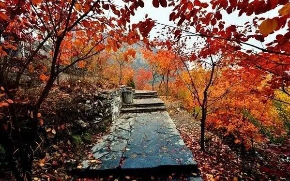 京郊十条登山步道推荐,第4个你就不知道  位于周口店镇黄山店村,毗邻