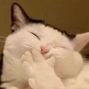 林心如怀二胎,决定退出娱乐圈?霍建华竟然这样说……