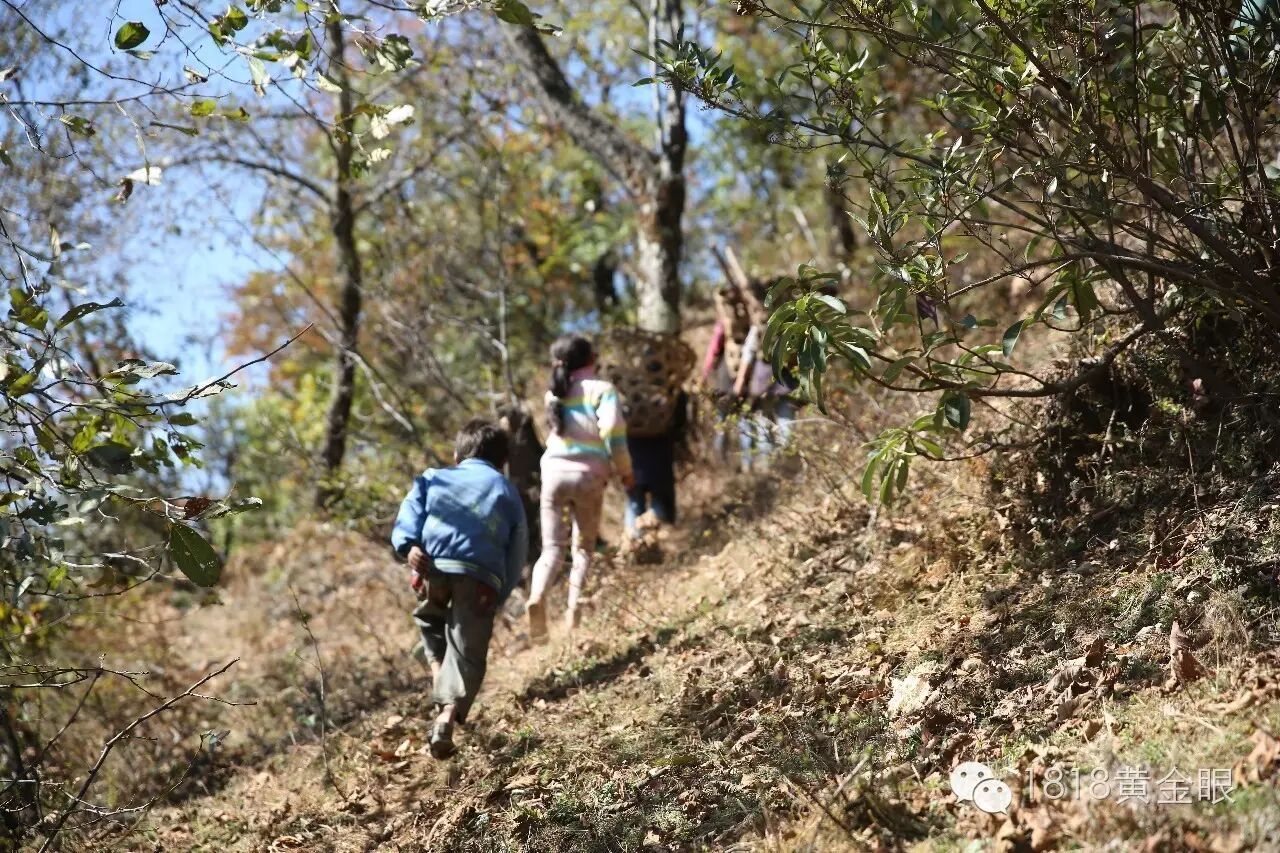 女子怀孕后,发现男友…一气之下,她纵身跳入池塘…-怀孕期