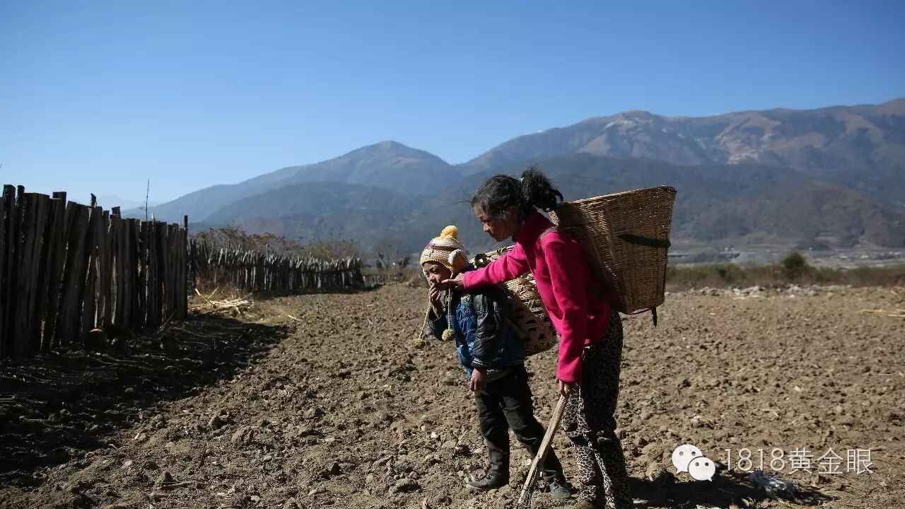 女子怀孕后,发现男友…一气之下,她纵身跳入池塘…-怀孕期