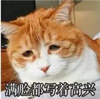 就在这个假期里