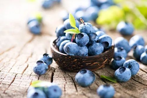 经常食用蓝莓可降低患失智症的风险