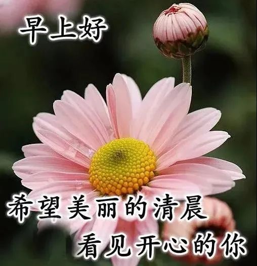 8张最新清新漂亮早上好图片带字带祝福语好看的朋友圈早安问候祝福语